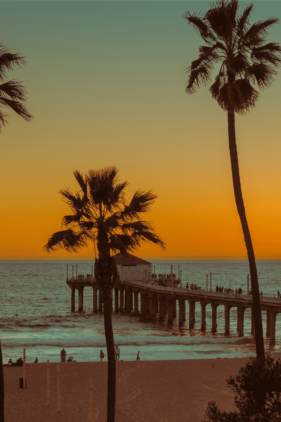 LEVEL Airline Tickets and Fares Search